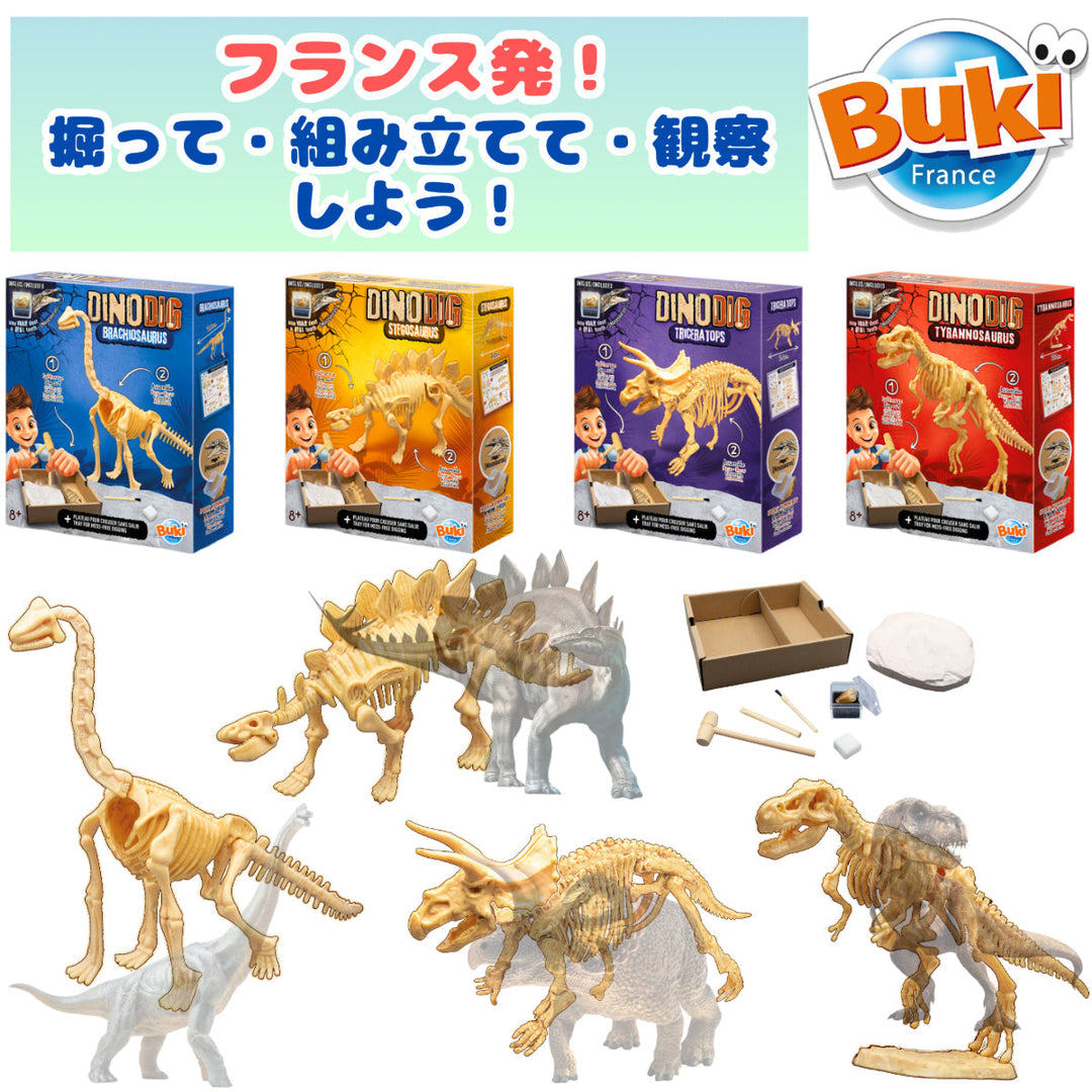 ビュキフランス 恐竜発掘セットブログ おうちが発掘現場に変身！初めてのディノディグ体験レポ🦖⛏️