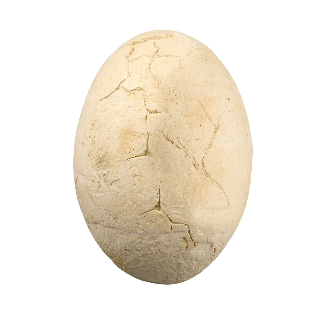 恐竜発掘キット Dino Mega Egg