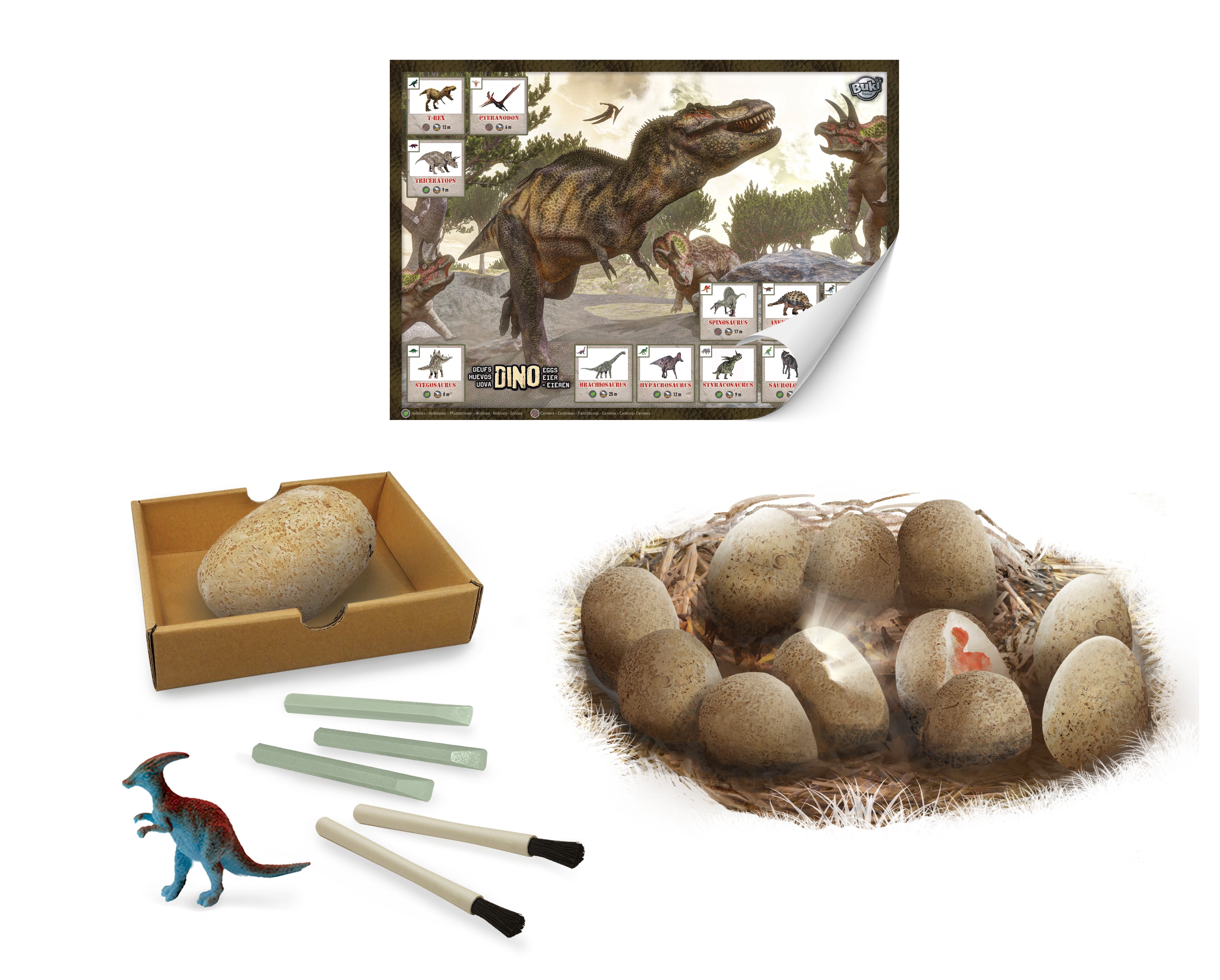 2138 ディノ・メガエッグ マキシパック – Buki France（ビュキ