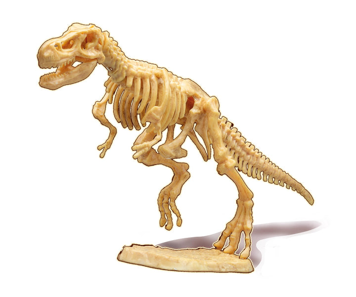 ビュキ フランス(Buki France) 445TYR 恐竜発掘キット ティラノサウルス T-Rex 20cm 子供 化石 発掘 おもちゃ 知育玩具