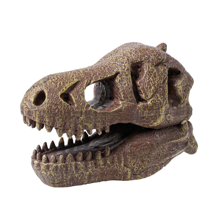 2130 ディノサウルス スカル ティラノサウルス